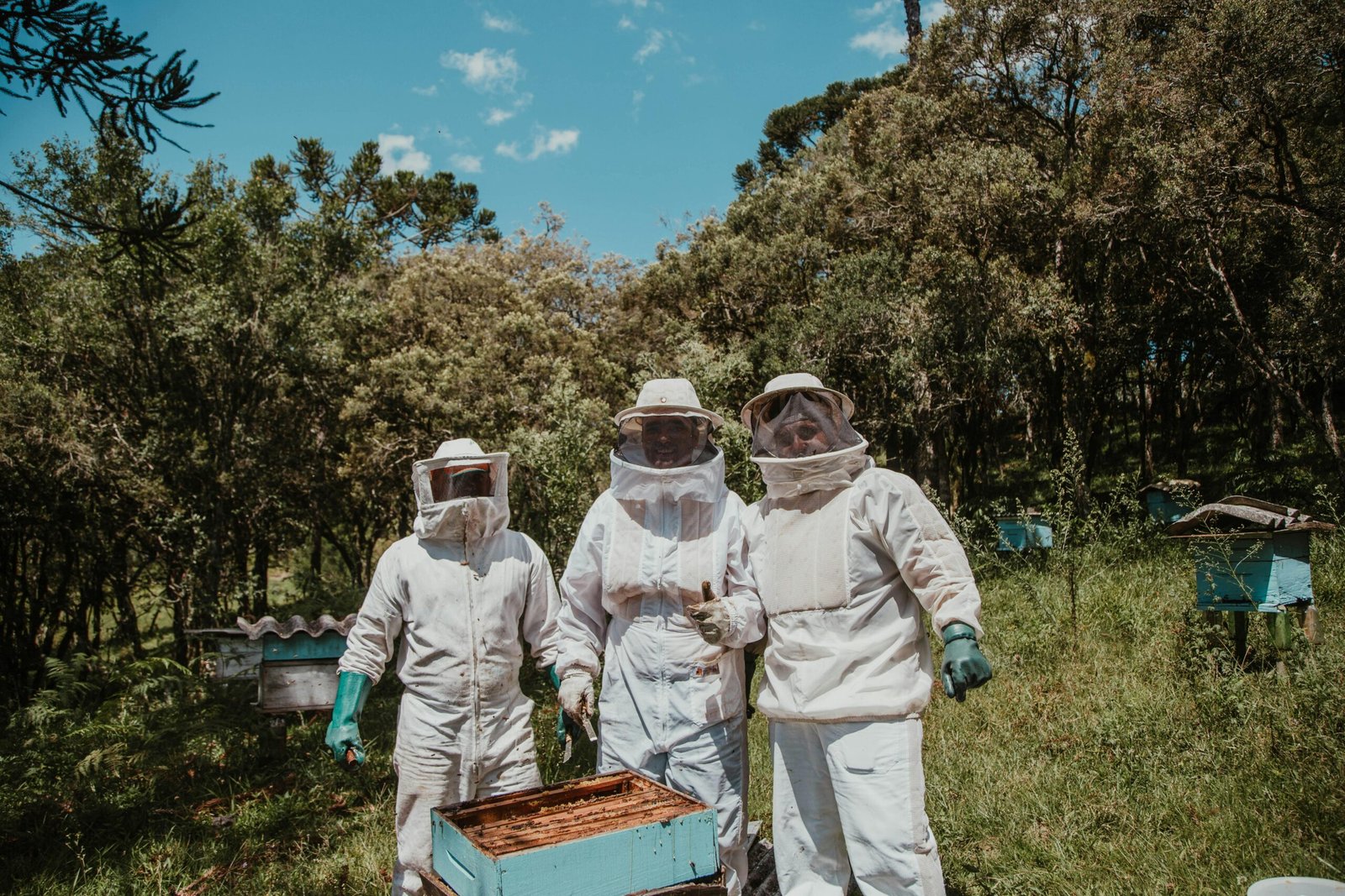Urban Beekeeping: Enhancing Pollinator Conservation and Biodiversity