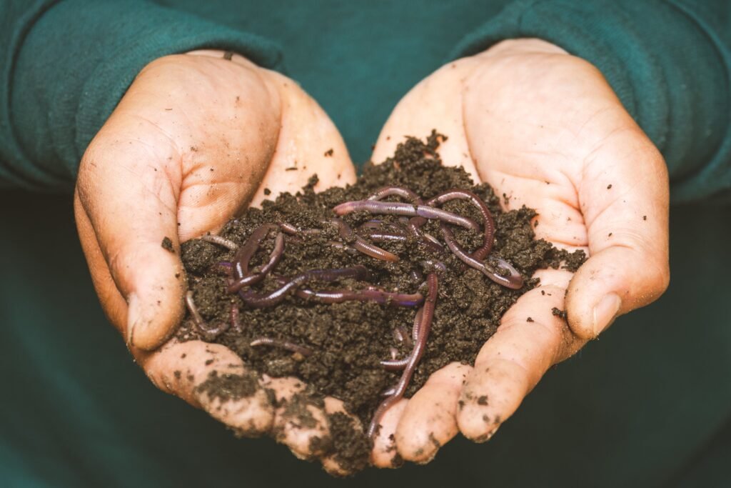 The Benefits of Composting in Urban Farming